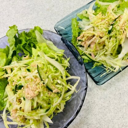 ツナ缶絡めると
野菜いっぱい食べ
られますねgood☆
毎日サラダは必ず
食べるのでいっぱい
作りましたよ〜\(//∇//)\
美味しいレシピ
ありがとうです✨